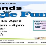 Doggie Fun Day flyer 1 landscape