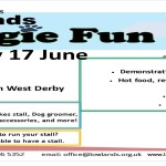 2017 Doggie Fun Day flyer landscape